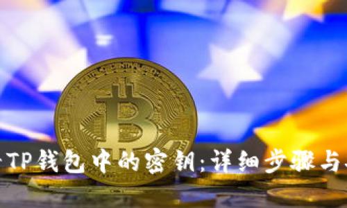 如何查看TP钱包中的密钥：详细步骤与安全建议